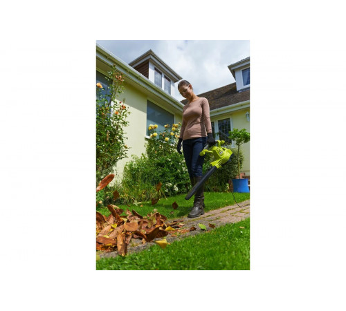 Воздуходувка Ryobi RBV3000CSV 5133002188