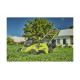 Бесщеточная газонокосилка Ryobi MAX POWER 36В RLM36x46H50PG 5133005484