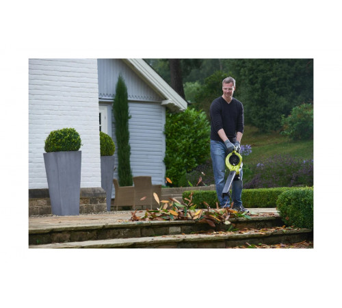 Аккумуляторный пылесос-воздуходувка Ryobi MAX POWER RBV36B 5133002524