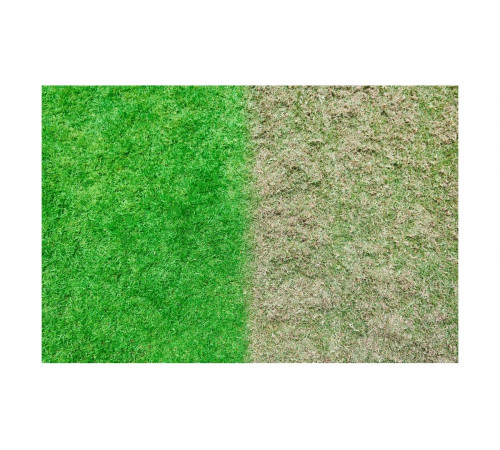 Бесщеточный скарификатор-аэратор Ryobi ONE+ RY18SFX35A-0 5133004548