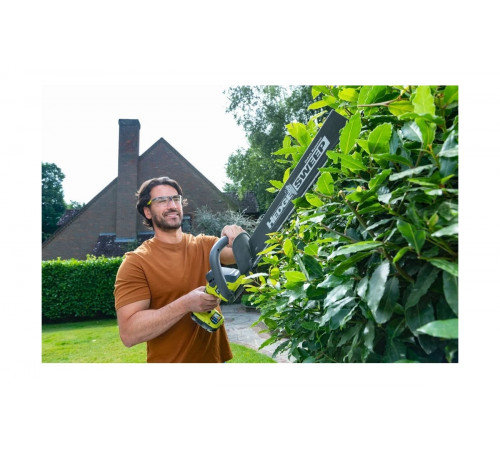 Защитные очки Ryobi RSG01 5132005351