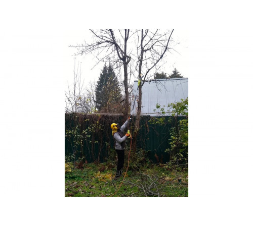 Штанговый сучкорез Ryobi RPP750S 5133002228