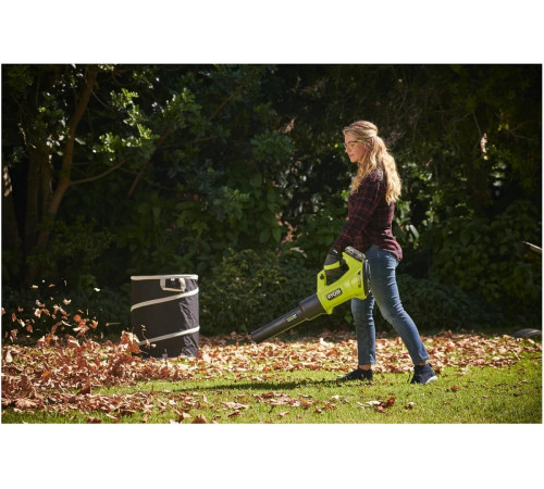 Мешок для травы RAC368 Ryobi 5132005954