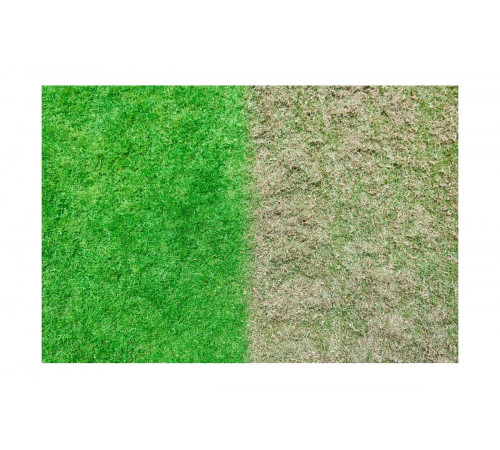 Бесщеточный скарификатор-аэратор Ryobi ONE+ RY18SFX35A-240 5133004549