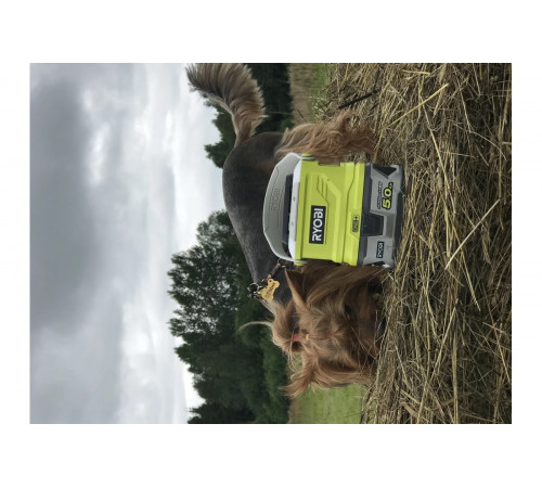 Аккумуляторный отпугиватель насекомых ONE+ Ryobi OBR1800 5133003730