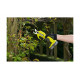 Аккумуляторный секатор Ryobi ONE+ RY18SCA-0 5133005024