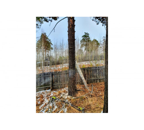 Аккумуляторный штанговый высоторез Ryobi ONE+ OPP1820 5133001250