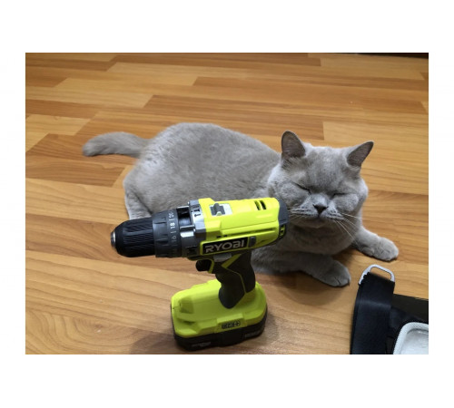 Аккумуляторная ударная дрель-шуруповерт Ryobi ONE+ R18PD2-0 5133003815