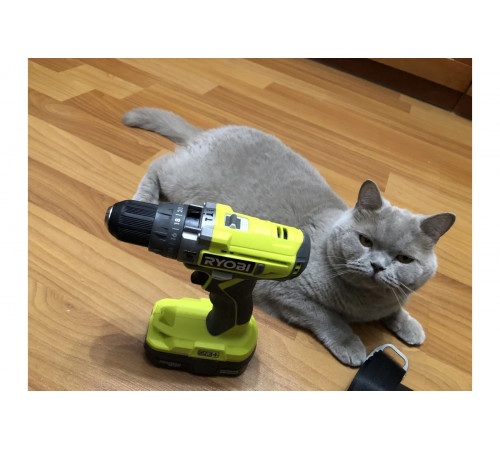 Аккумуляторная ударная дрель-шуруповерт Ryobi ONE+ R18PD2-0 5133003815