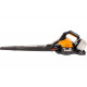 Мощный аккумуляторный пылесос и воздуходувка WORX WG583E.9