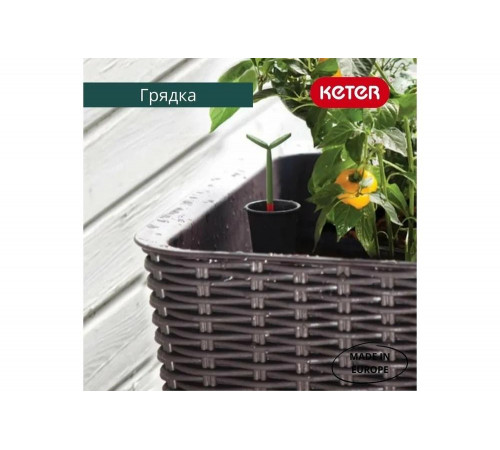Грядка для растений Keter Easy Growing коричневая 230297 Грядка для растений Keter Easy Growing коричневая 230297