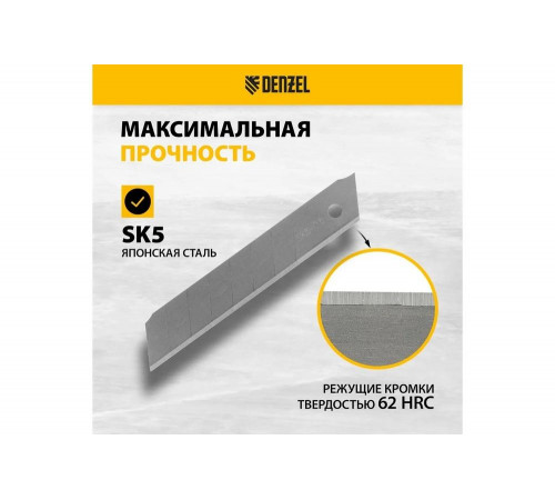Лезвия 18 мм, сталь SK5, 0.5 мм, 10 шт Denzel 79303 Лезвия 18 мм, сталь SK5, 0.5 мм, 10 шт Denzel 79303