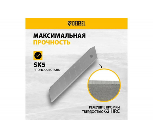 Лезвия 25 мм, сталь SK5, 0.7 мм, 5 шт Denzel 79316 Лезвия 25 мм, сталь SK5, 0.7 мм, 5 шт Denzel 79316