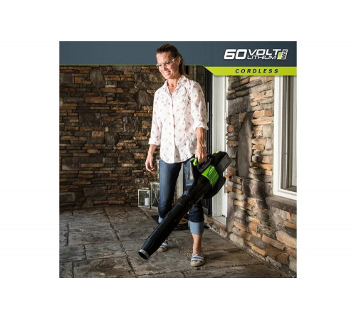 Аккумуляторный воздуходув Greenworks GD60AB