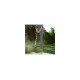 Триммер аккумуляторный GREENWORKS GD80BCK4 1301607UB