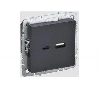 Розетка USB IEK Brite a+c 18вт рю11-1-брг графит BR-U22-018-K53