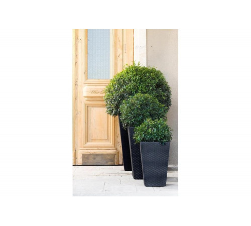 Кашпо Keter Rattan Planter M коричневый 228975