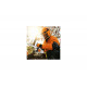 Бензиновая пила Stihl MS 151 TC-E 11462000058