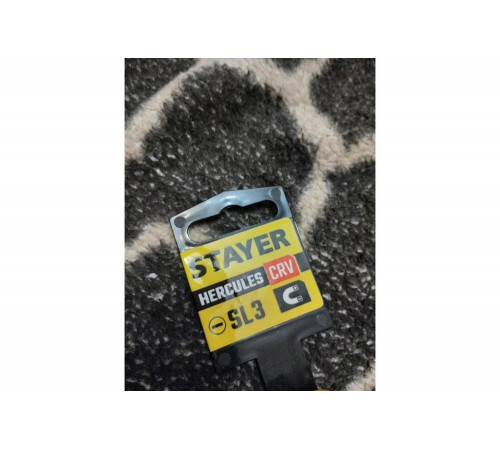 STAYER SL3.2х100 мм, отвертка 2509-03-10_z03