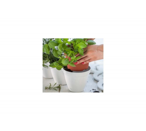 Кашпо Keter IVY HERBS WHITE 17197630 Кашпо Keter IVY HERBS WHITE 17197630