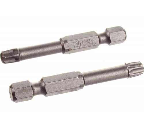 KRAFTOOL Т30, 50 мм, 2 шт., кованые профессиональные биты X-DRIVE 26125-30-50-2 KRAFTOOL Т30, 50 мм, 2 шт., кованые профессиональные биты X-DRIVE 26125-30-50-2