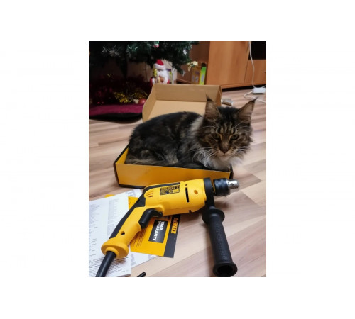 Ударная дрель DEWALT DWD 024