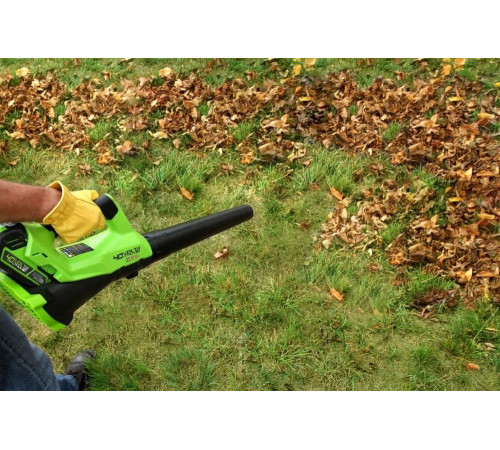 Аккумуляторный воздуходув Greenworks G40AB Аккумуляторный воздуходув Greenworks G40AB