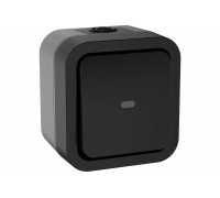 Переключатель одноклавишный IEK Tors с индикацией 10а ip55 ts102 графит TS-V10-1-10-55-K53