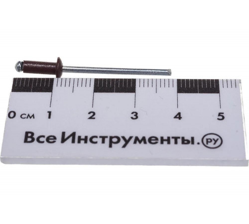 STAYER 3.2 х 8 мм, RAL 8017 шоколадно-коричневый, 50 шт., алюминиевые заклепки Color-FIX 3125-32-801 STAYER 3.2 х 8 мм, RAL 8017 шоколадно-коричневый, 50 шт., алюминиевые заклепки Color-FIX 3125-32-801