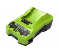 Зарядное устройство G24C 24V GreenWorks 2932407