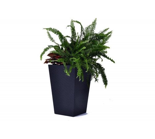 Кашпо Keter Rattan Planter M 55.4 л, графит 228974 Кашпо Keter Rattan Planter M 55.4 л, графит 228974