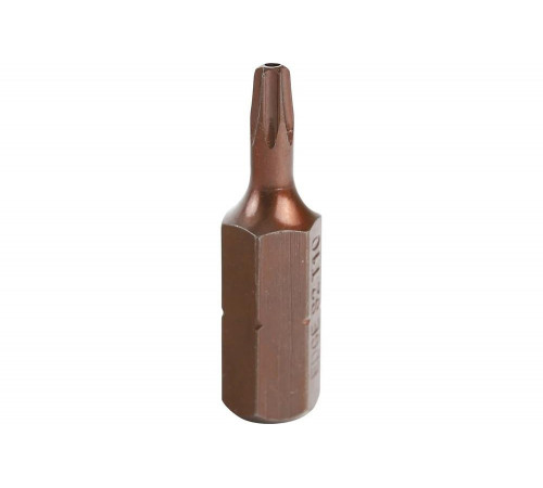 Бита (2 шт; T10; 25 мм) PATRIOT 818010017 Бита (2 шт; T10; 25 мм) PATRIOT 818010017