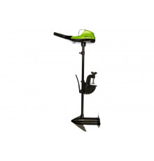 Аккумуляторный лодочный мотор Greenworks G40TM55 9000207