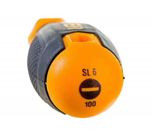 STAYER SL6х100 мм, отвертка 2509-06-10_z03