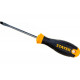 STAYER SL6х100 мм, отвертка 2509-06-10_z03