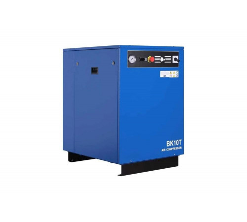 Компрессор Remeza ВК 10Т-10 3001520