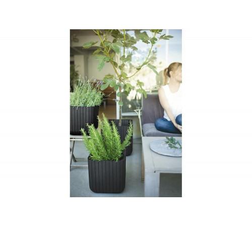 Кашпо Keter CUBE PLANTER L, 50.5 л, коричневый 229533 Кашпо Keter CUBE PLANTER L, 50.5 л, коричневый 229533