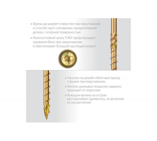 Конструкционные саморезы ЗУБР 30051-60-100 Конструкционные саморезы ЗУБР 30051-60-100