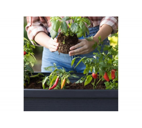 Кашпо-грядка KETER Алфреско, ALFRESCO GARDEN BED 253703 Кашпо-грядка KETER Алфреско, ALFRESCO GARDEN BED 253703