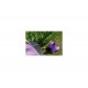 Диван KETER Corfu love seat графит 258973