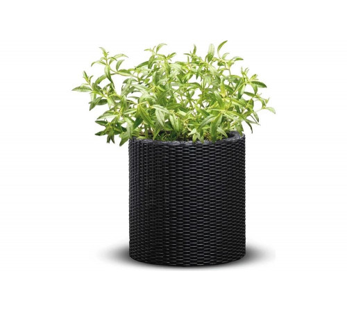 Кашпо KETER Cylinder Planter S графит 229120 Кашпо KETER Cylinder Planter S графит 229120