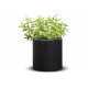 Кашпо KETER Cylinder Planter S графит 229120