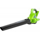 Аккумуляторный воздуходув-пылесос GreenWorks GD40BVK3 40V 24227UE