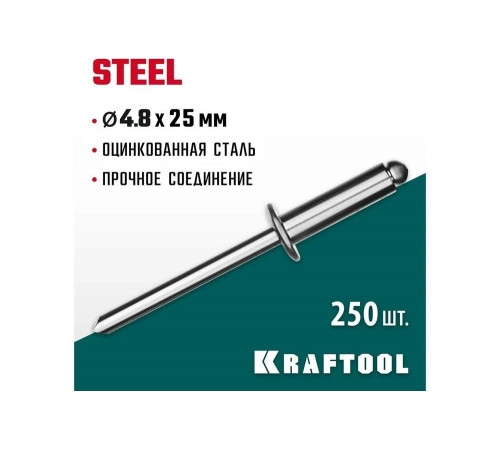 KRAFTOOL 4.8 х 25 мм, 250 шт., стальные заклепки Steel 311703-48-25 KRAFTOOL 4.8 х 25 мм, 250 шт., стальные заклепки Steel 311703-48-25