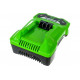 Зарядное устройство Greenworks G24C4 24V