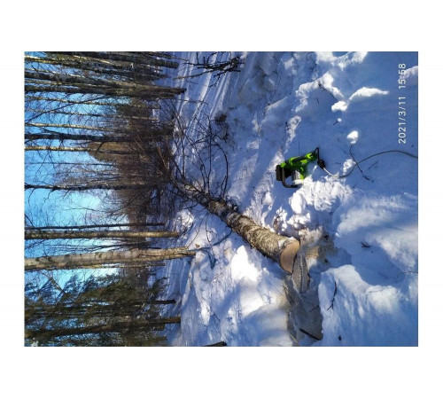 Цепная электрическая пила GreenWorks GCS1836 1800Вт, 36см 20217 Цепная электрическая пила GreenWorks GCS1836 1800Вт, 36см 20217
