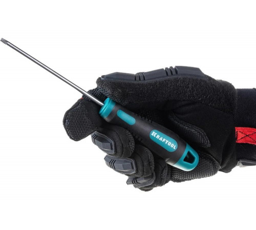 KRAFTOOL TX HOLE 20х100 мм, отвертка слесарная 250077-20-100 KRAFTOOL TX HOLE 20х100 мм, отвертка слесарная 250077-20-100