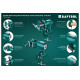 KRAFTOOL 65/38 мм, настольные тиски многофункциональные с поворотом 3D-MINI 32714-65