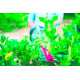 Аккумуляторный кусторез Greenworks Deluxe G24HT57 2200107