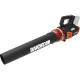Аккумуляторная бесщеточная воздуходувка WORX 40 В WG584E.9